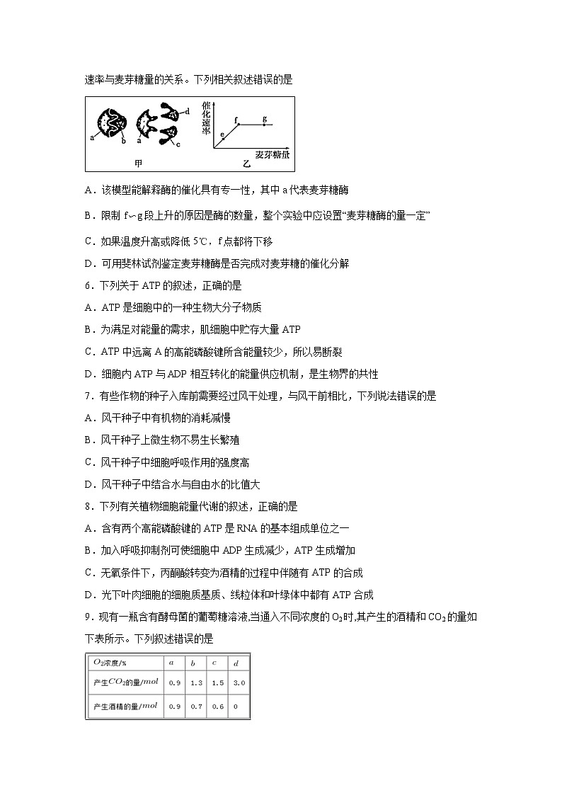 【生物】甘肃省甘谷第一中学2018-2019学年高二下学期期末考试试题02