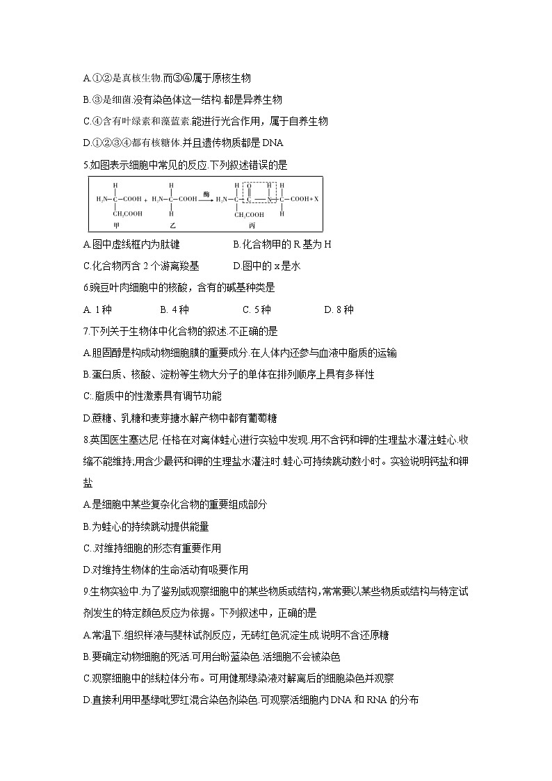 【生物】湖南省长郡中学2018-2019学年高二下学期期末考试试题02
