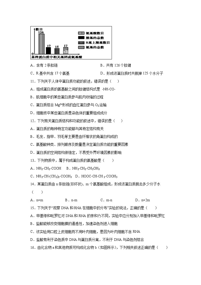 【生物】山西省晋中市祁县二中2018-2019高二上学期期末考试试卷03