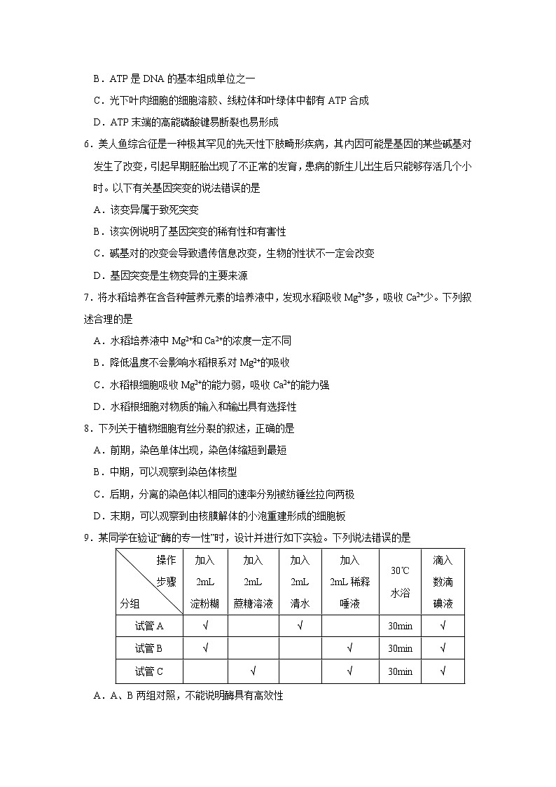 【生物】浙江省“溫州十校聯(lián)合體”2018-2019學(xué)年高二上學(xué)期期末考試試題第2頁