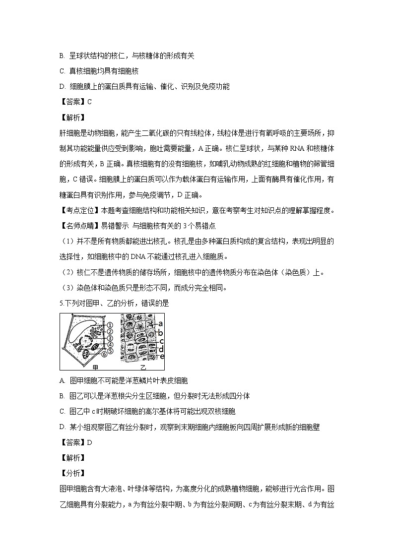 【生物】浙江省宁波市效实中学2018-2019学年高二上学期期末模拟(二)试题(解析版)03