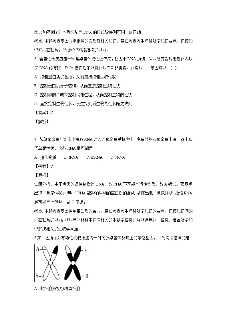 【生物】江西省九江第一中学2018-2019学年高二上学期期末考试试题 (解析版)03