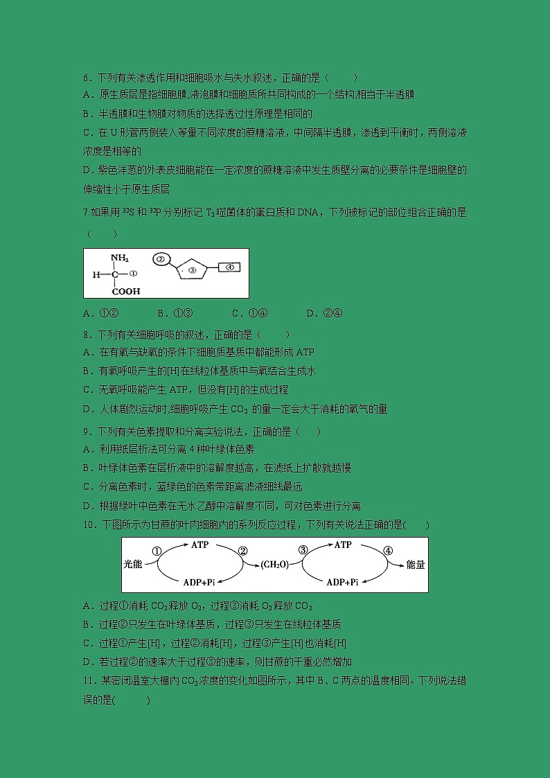 【生物】遼寧省本溪市第一中學(xué)2018-2019學(xué)年高二上學(xué)期期末考試生物試題第2頁
