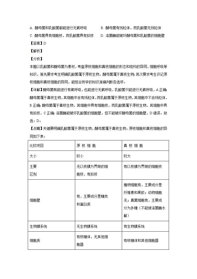【生物】内蒙古集宁一中2018-2019学年高二上学期期末考试试卷(解析版)03