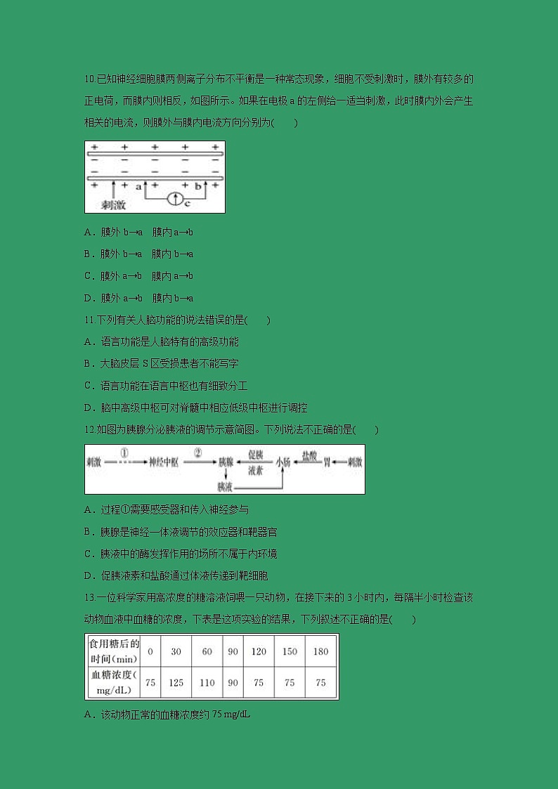 【生物】安徽省定远县育才学校2018-2019学年高二上学期期末模拟试题(解析版)03