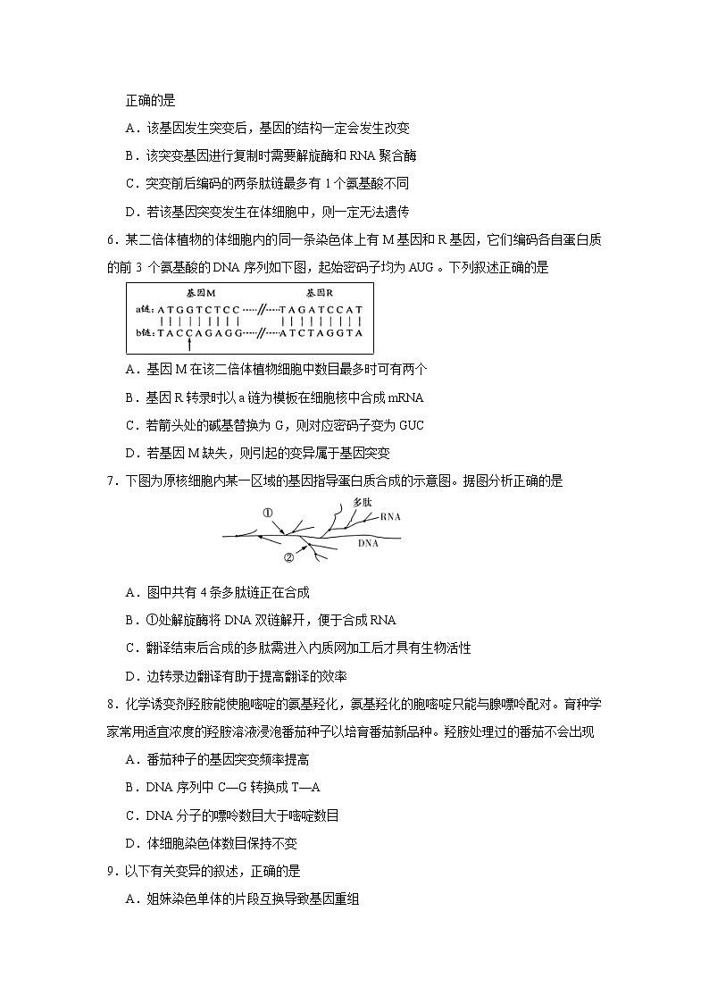 【生物】湖北省華中師范大學(xué)第一附屬中學(xué)2018-2019學(xué)年高二上學(xué)期期末考試試題第2頁(yè)
