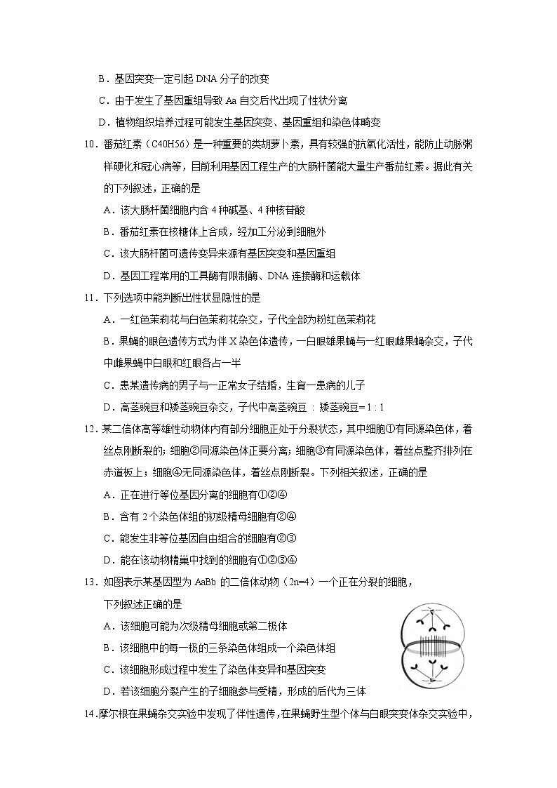 【生物】湖北省華中師范大學(xué)第一附屬中學(xué)2018-2019學(xué)年高二上學(xué)期期末考試試題第3頁(yè)