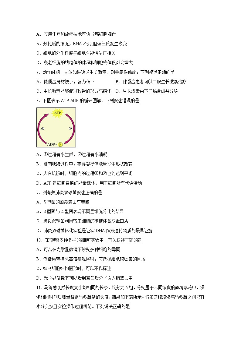 【生物】浙江省宁波诺丁汉大学附属中学2018-2019学年高二下学期期中考试试题第2页