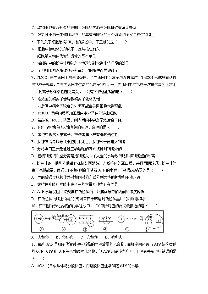 【生物】河南省开封第二十五中学2018-2019学年高二下学期期中考试试卷02