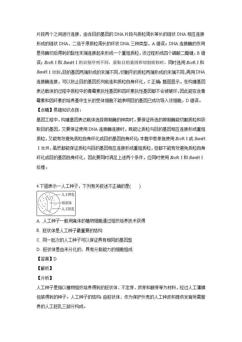 【生物】辽宁省沈阳市东北育才学校2018-2019学年高二下学期期中考试试题 (解析版)03