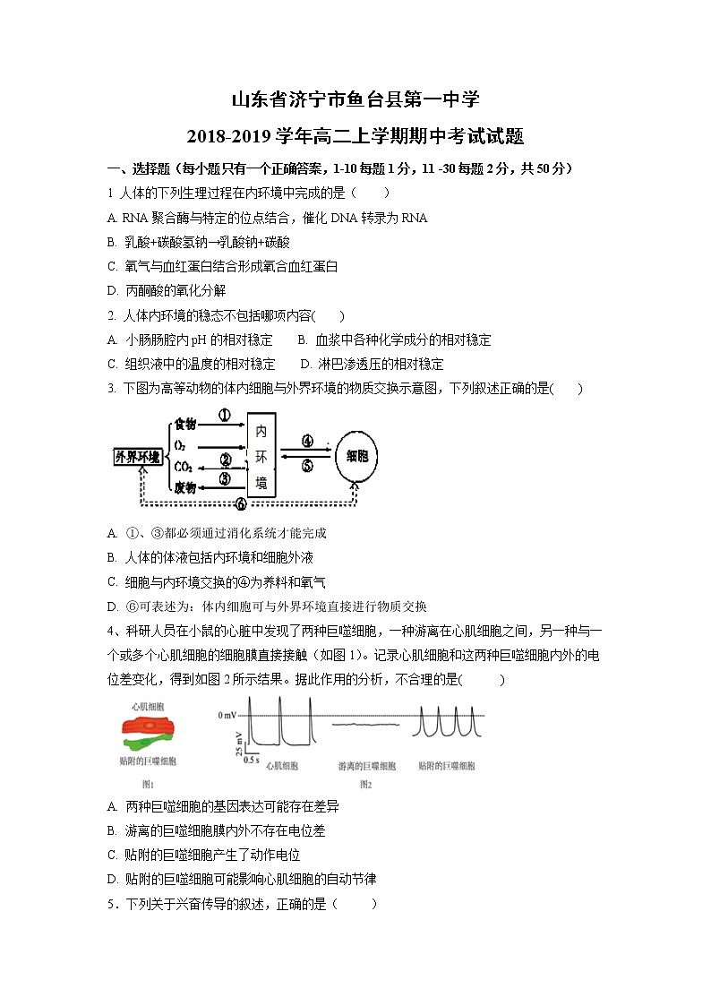 【生物】山东省济宁市鱼台县第一中学2018-2019学年高二上学期期中考试试题01