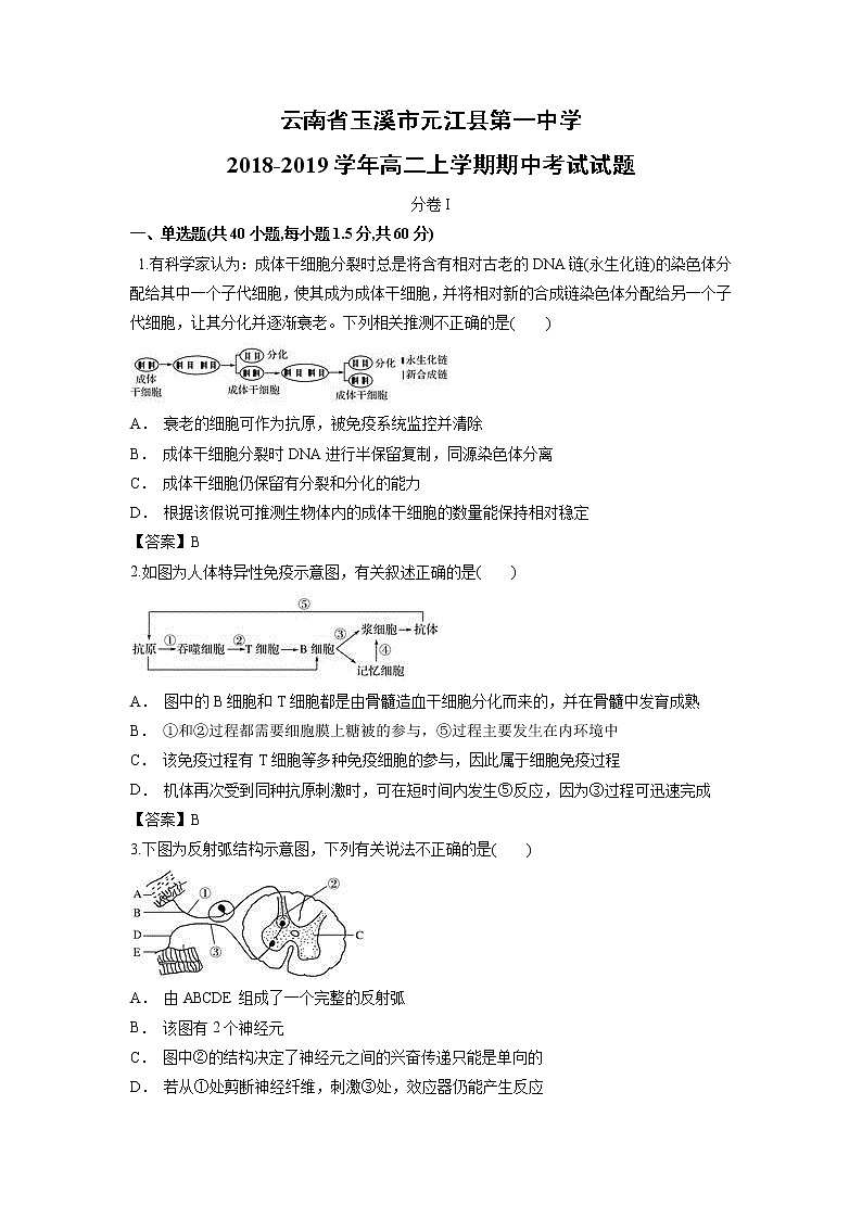 【生物】云南省玉溪市元江县第一中学2018-2019学年高二上学期期中考试试题01