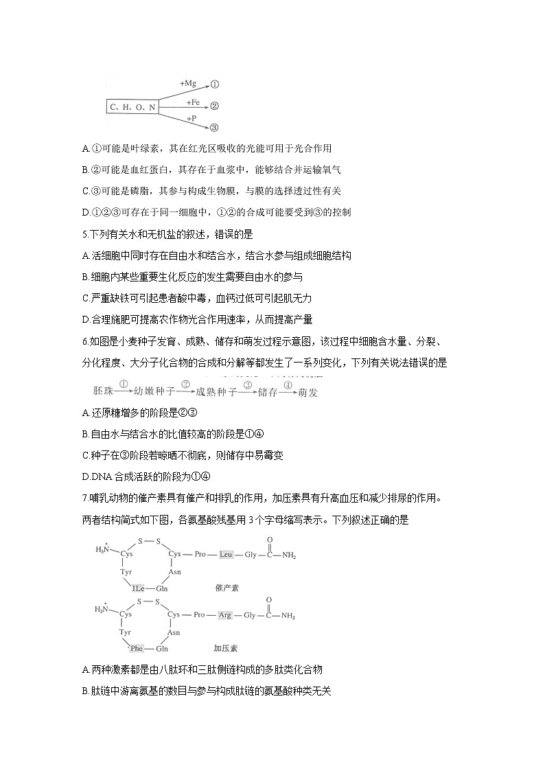 【生物】河南省南阳市2019-2020学年高二下学期期末考试试题02