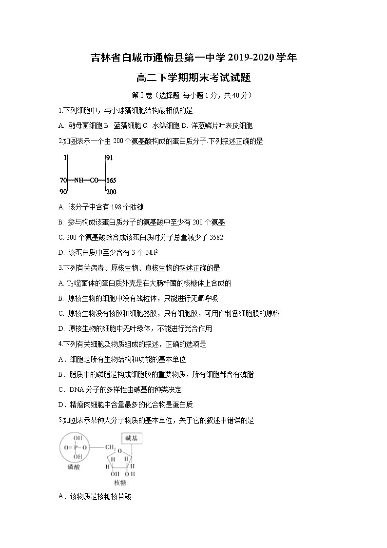 【生物】吉林省白城市通榆县第一中学2019-2020学年高二下学期期末考试试题01