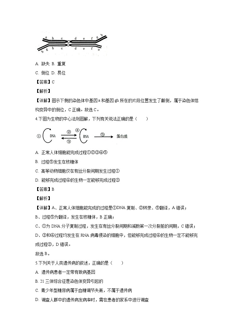 【生物】内蒙古赤峰市2019-2020学年高二下学期期末考试联考(A卷)试卷(解析版)02