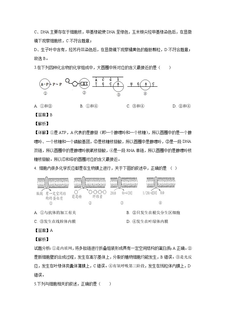 【生物】内蒙古集宁一中(西校区)2019-2020学年高二下学期期末考试试卷(解析版)02