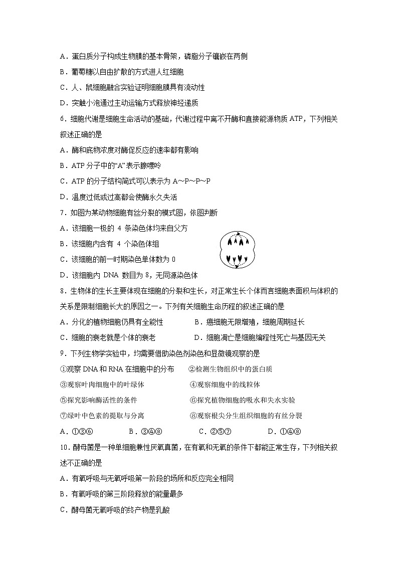 【生物】陕西省汉中市龙岗学校2019-2020学年高二上学期期末考试(文)试题第2页