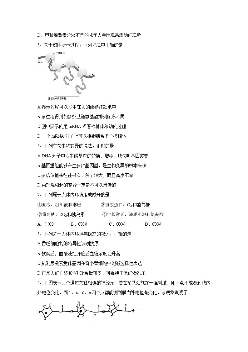【生物】云南省玉溪一中2019-2020学年高二上学期期末考试试题第2页