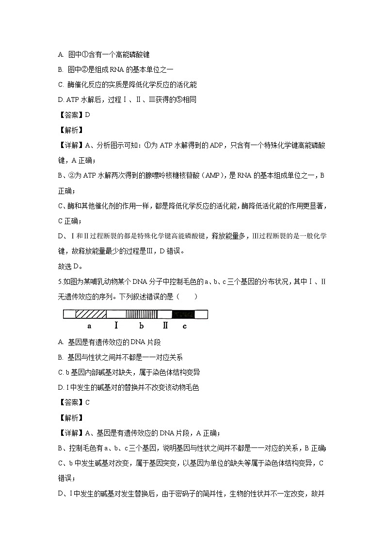 【生物】江苏省徐州市2019-2020学年高二上学期期末考试试卷(解析版)03