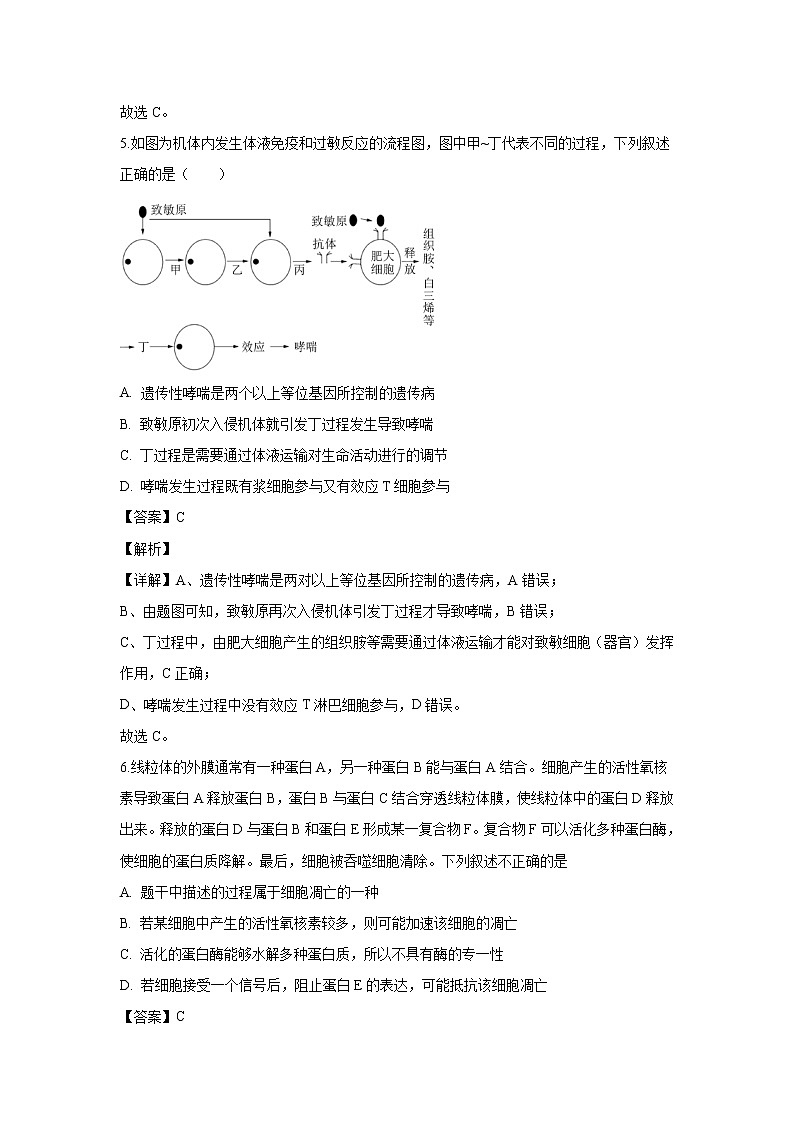 【生物】江西省景德镇一中2019-2020学年高二上学期期末考试试题(16班)(解析版)03