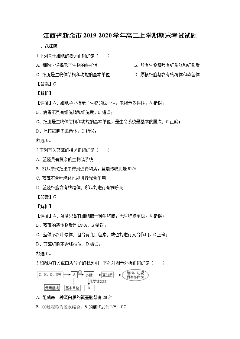 【生物】江西省新余市2019-2020学年高二上学期期末考试试题（解析版）01