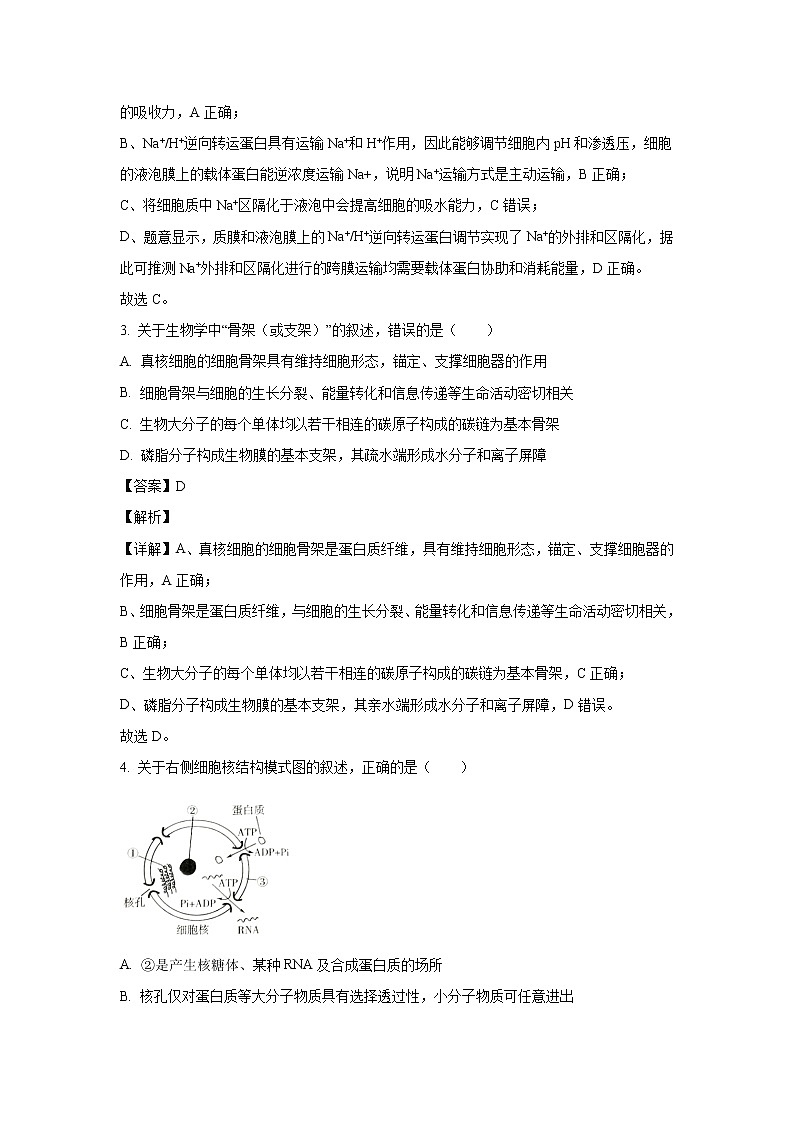 【生物】山东临沂市2019-2020学年高二上学期期末考试试题(解析版)第2页