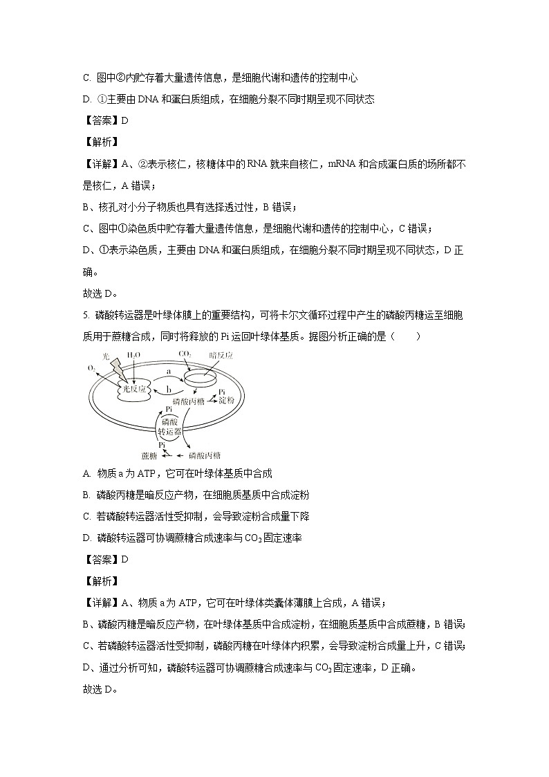 【生物】山东临沂市2019-2020学年高二上学期期末考试试题(解析版)第3页