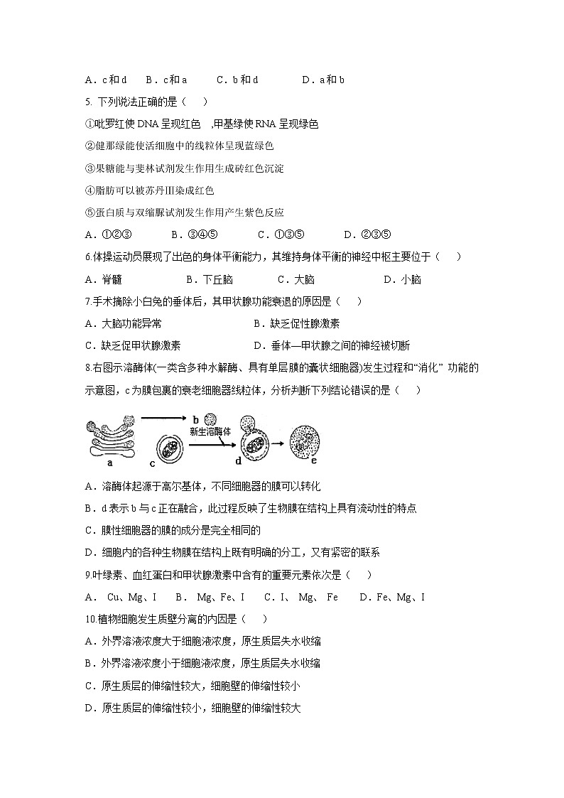 【生物】青海省西宁市第十四中学2019-2020学年高二上学期期末考试试题第2页