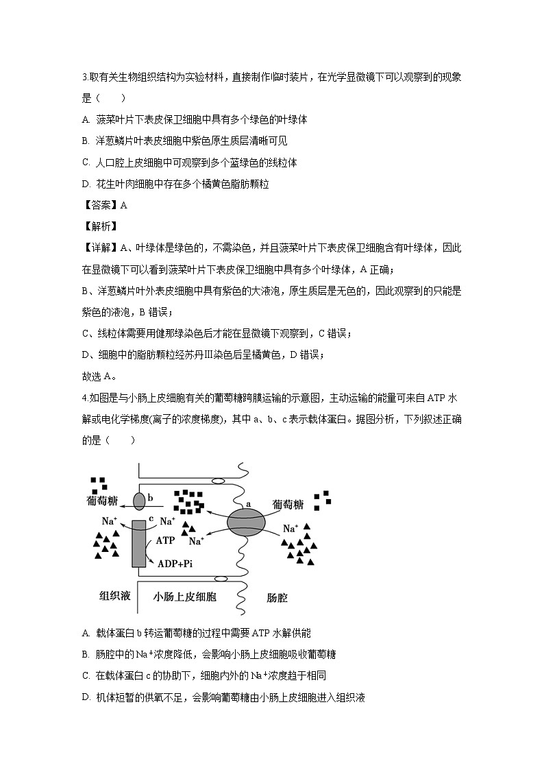 【生物】安徽省六安市舒城中学2019-2020学年高二上学期期末考试试题(解析版)02