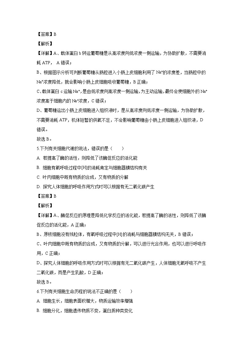 【生物】安徽省六安市舒城中学2019-2020学年高二上学期期末考试试题(解析版)03