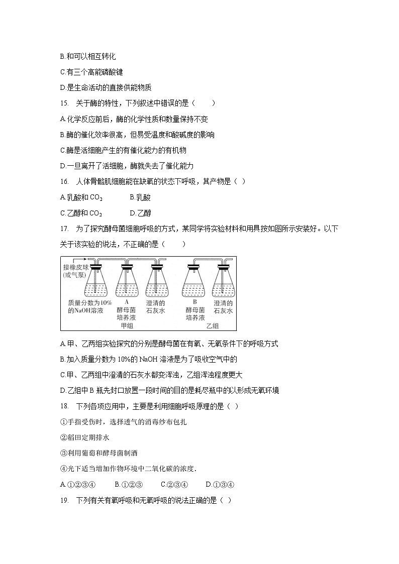 【生物】甘肃省兰州市联片办学2019-2020学年高二上学期期末考试(理)试题第3页