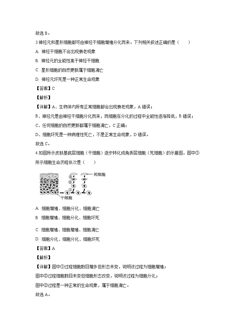 【生物】广东省联考联盟2019-2020学年高二上学期期末考试试题(解析版)第2页