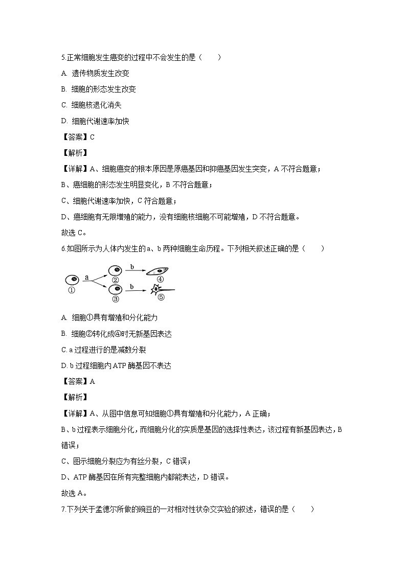 【生物】广东省联考联盟2019-2020学年高二上学期期末考试试题(解析版)第3页