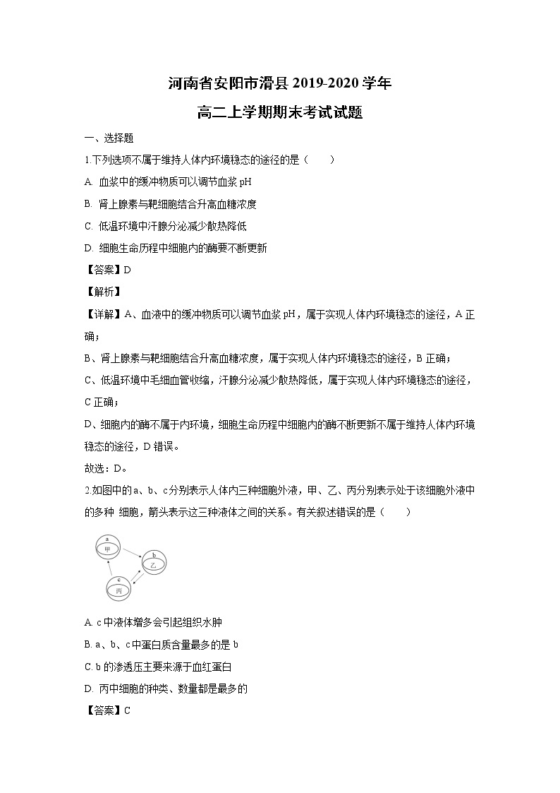 【生物】河南省安阳市滑县2019-2020学年高二上学期期末考试试题（解析版）01