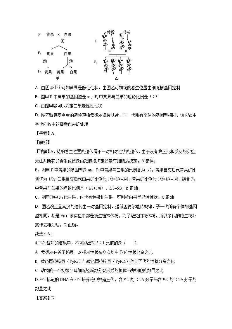 【生物】河南省濮阳市2019-2020学年高二上学期期末考试试题(解析版)02