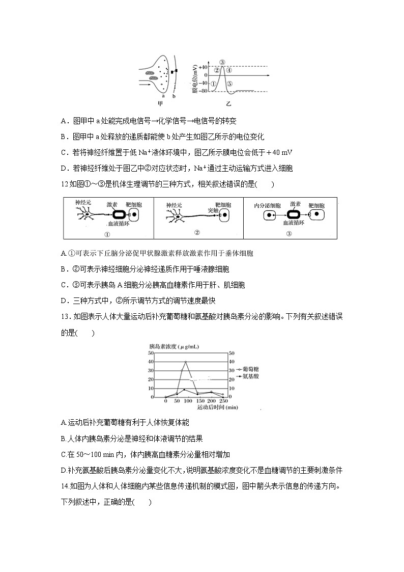 【生物】山东省东营市利津一中2019-2020学年高二上学期期中考试试卷(解析版)03