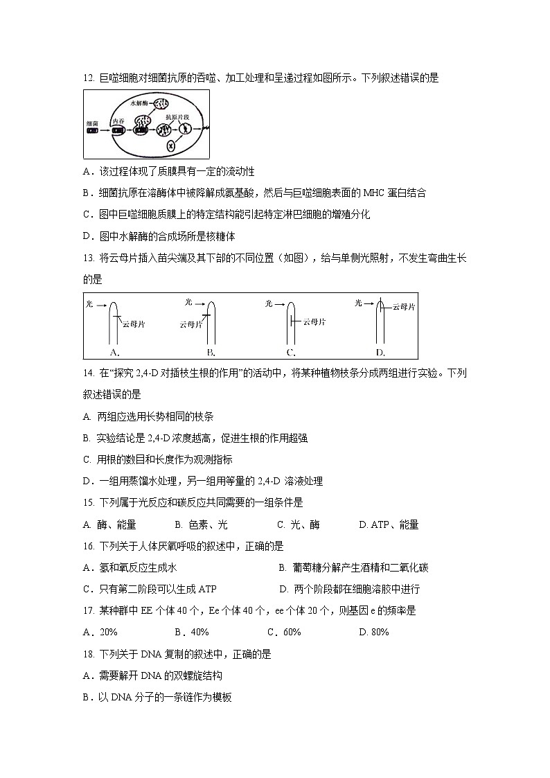 【生物】浙江省浙东北联盟(ZDB)2019-2020学年高二上学期期中考试试题03
