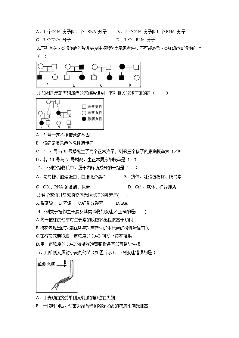 【生物】浙江省武义第三中学2019-2020学年高二上学期期中考试试卷02