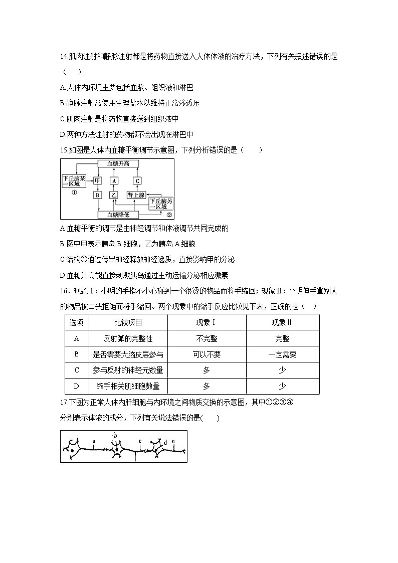 【生物】新疆哈密市第十五中学2019-2020学年高二上学期期中考试试题03