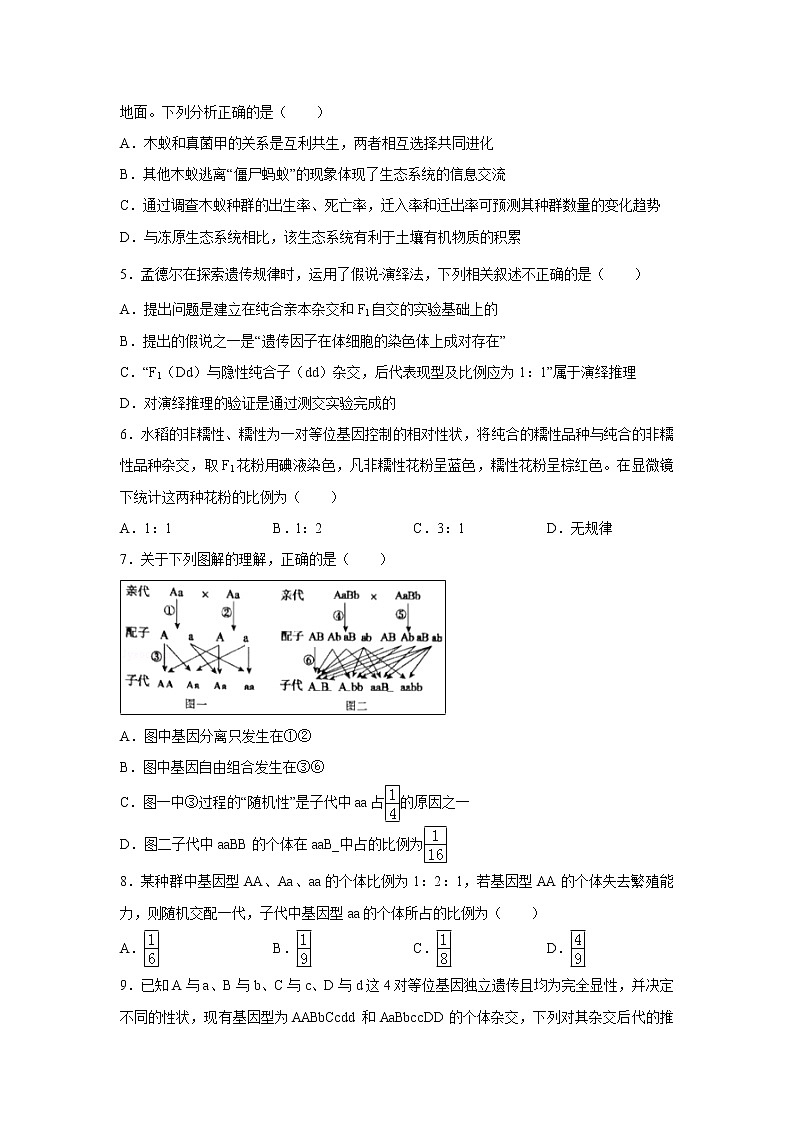 【生物】新疆乌鲁木齐市第四中学2019-2020学年高二上学期期中考试试题第2页