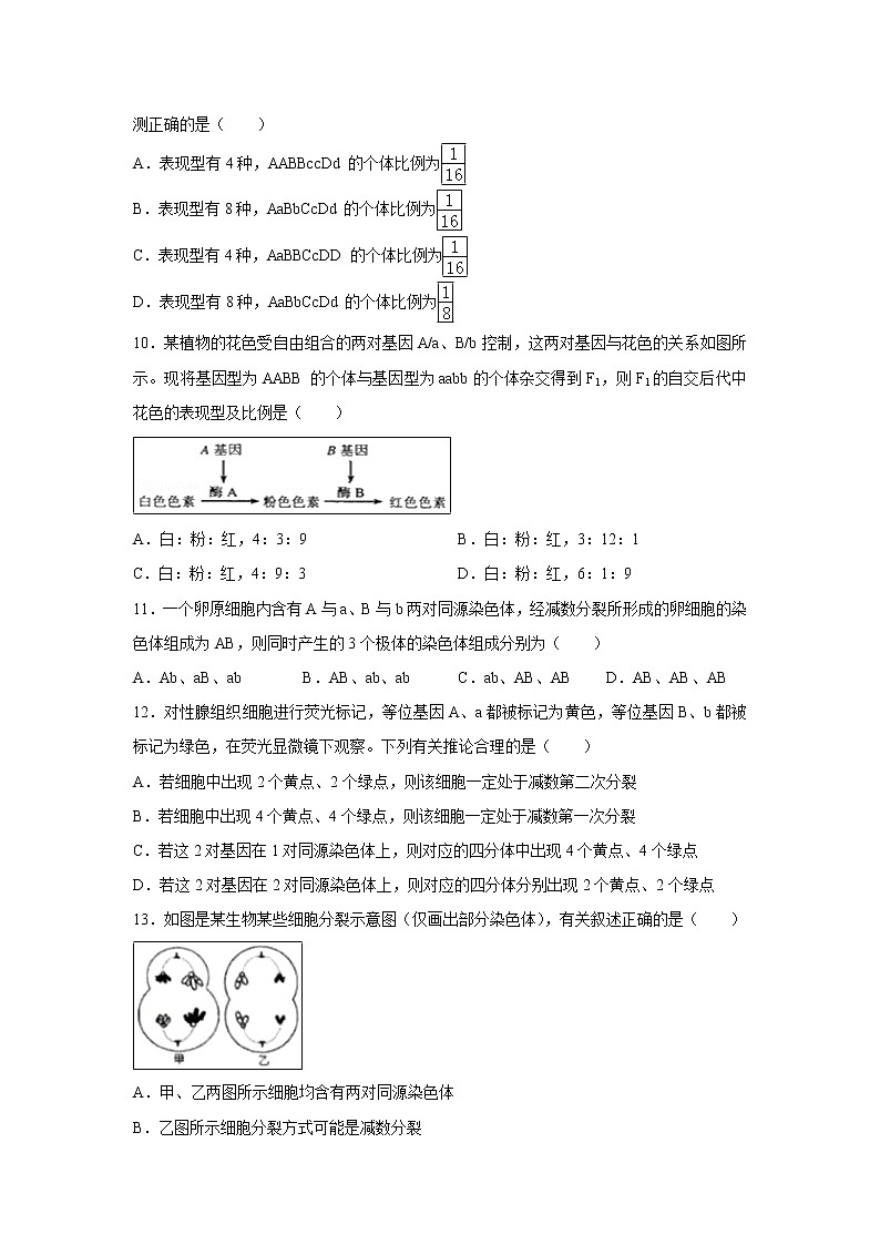 【生物】新疆乌鲁木齐市第四中学2019-2020学年高二上学期期中考试试题第3页