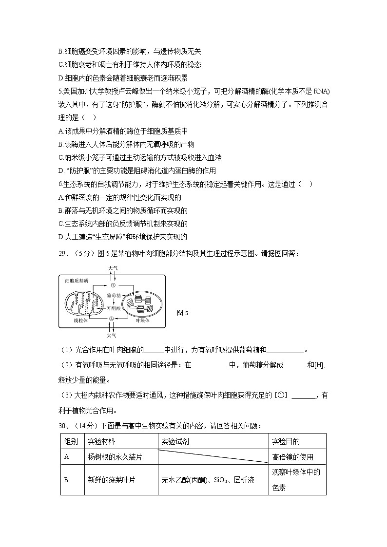 【生物】广西北流市实验中学2019-2020学年高二下学期期中考试理科综合试题(解析版)02