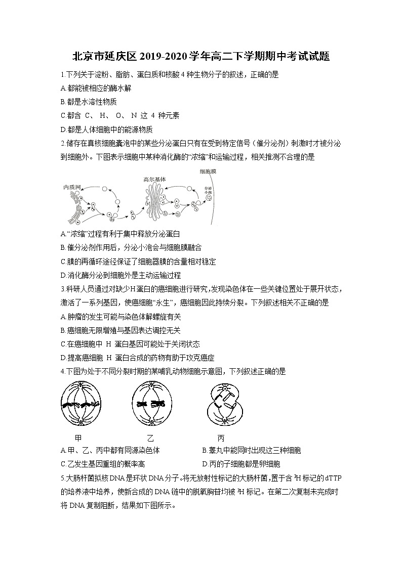 【生物】北京市延庆区2019-2020学年高二下学期期中考试试题01