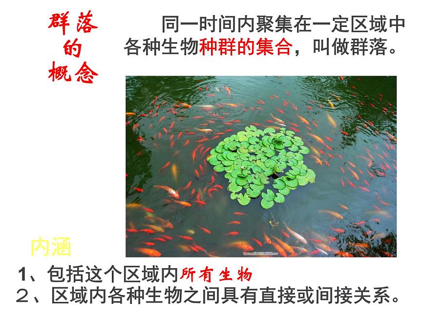 人教版高二生物必修3課件：4.3 群落的結構1第3頁