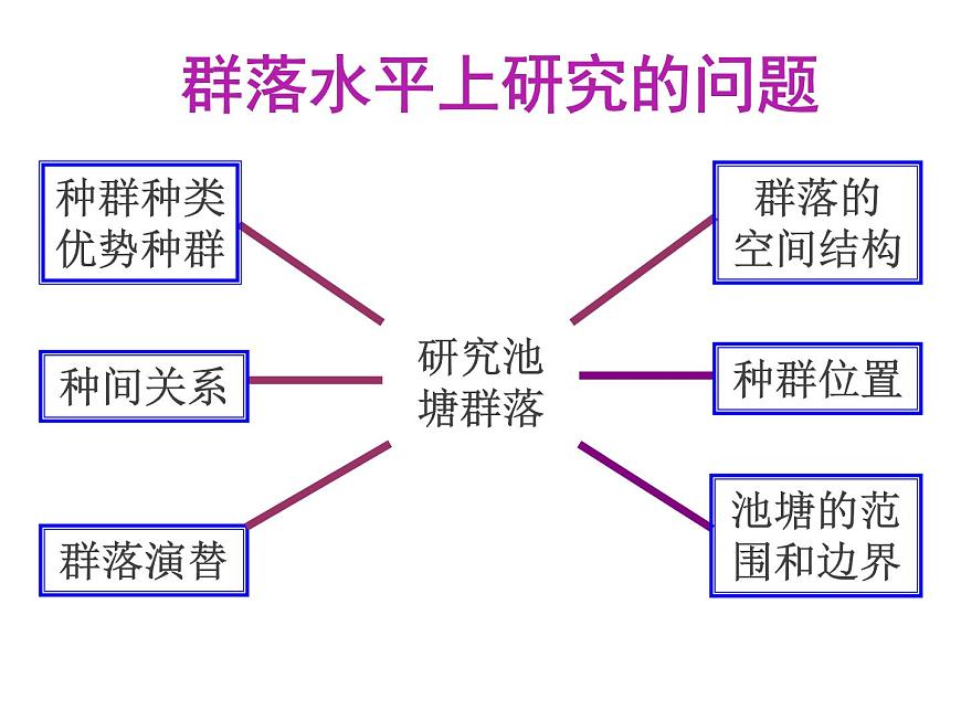 人教版高二生物必修3課件：4.3 群落的結構1第6頁