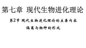 人教版 (新课标)必修2《遗传与进化》本节综合示范课ppt课件