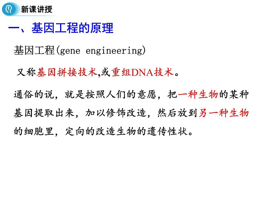高中人教版生物必修二課件:第6章 第2節(jié)《基因工程及其應(yīng)用》課件(共29 張PPT)第7頁
