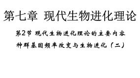 人教版 (新课标)必修2《遗传与进化》第七章 现代生物进化理论第2节 现代生物进化理论的主要内容本节综合背景图课件ppt