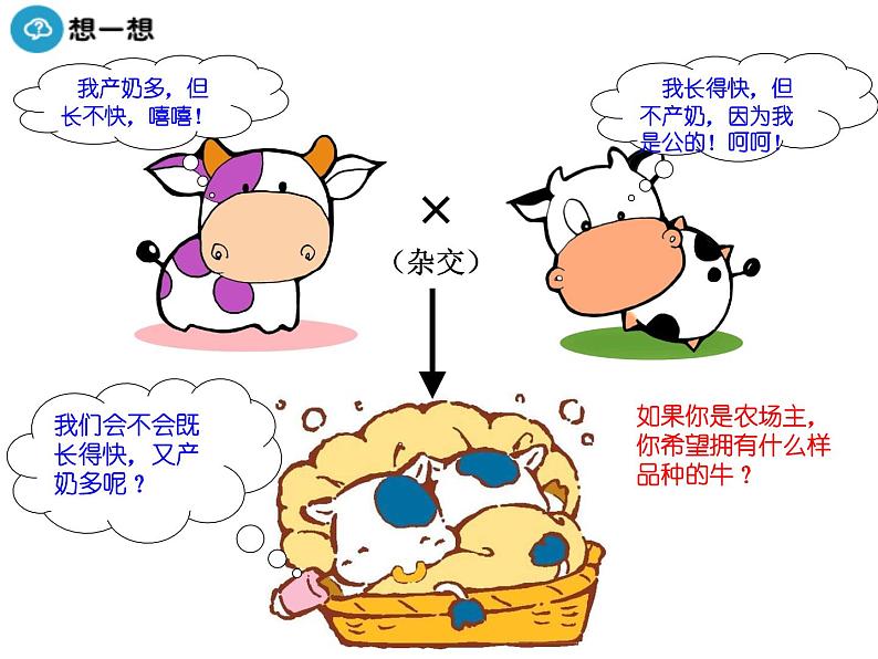 高中人教版生物必修二课件:第1章 第2节《孟德尔的豌豆杂交实验(二)》课时 1课件(共17 张PPT)05
