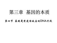 人教版 (新课标)必修2《遗传与进化》第4节 基因是有遗传效应的DNA片段多媒体教学课件ppt